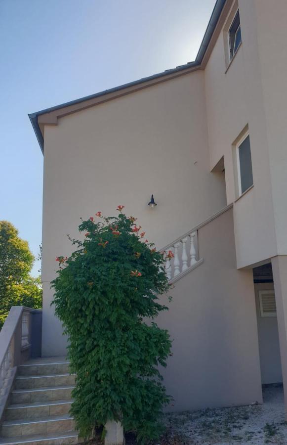 House Aurora Apartment